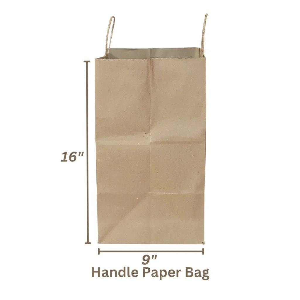 Twisted Handle Paper Bag